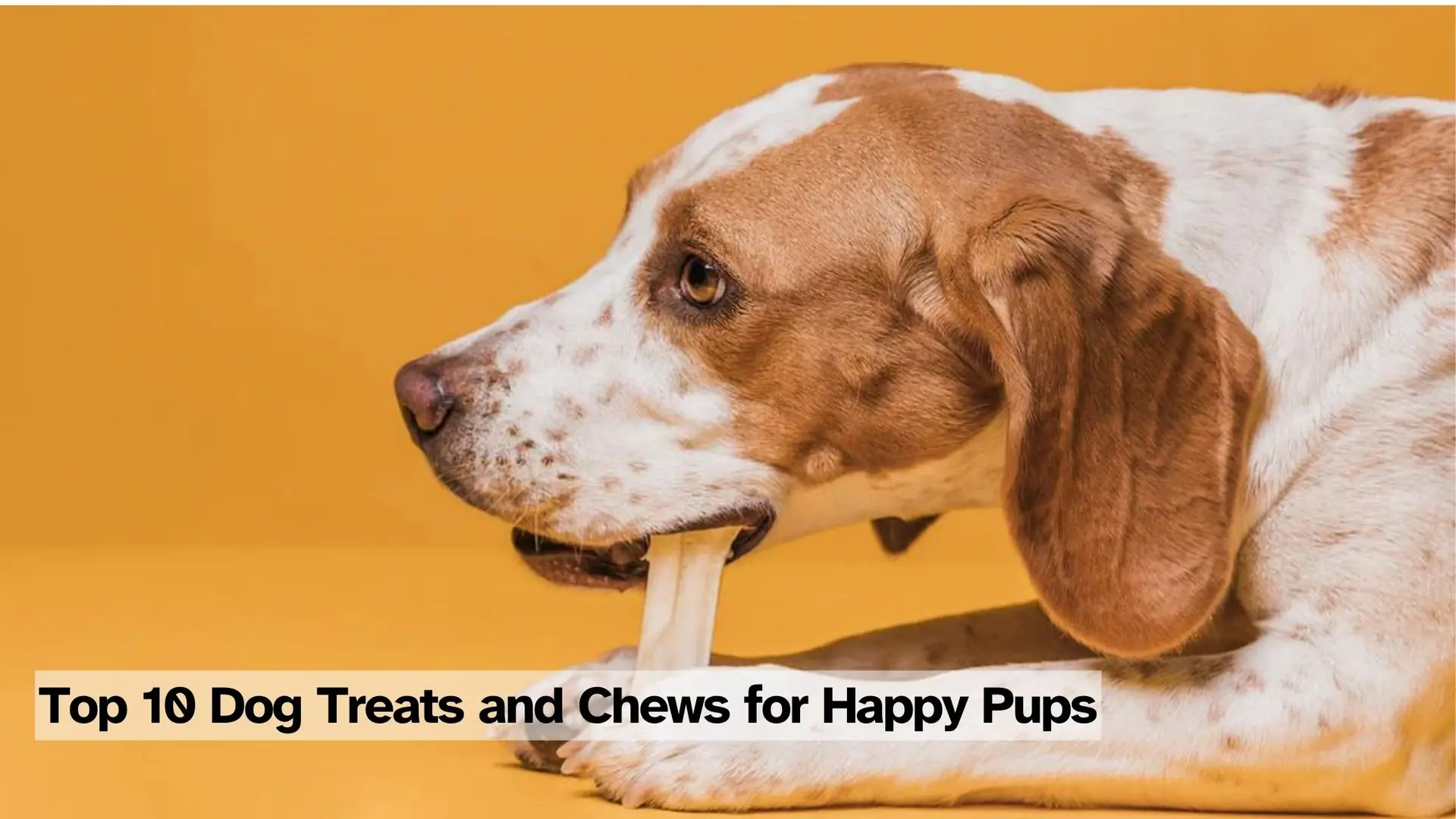 65e934ede3321e143f8054f6