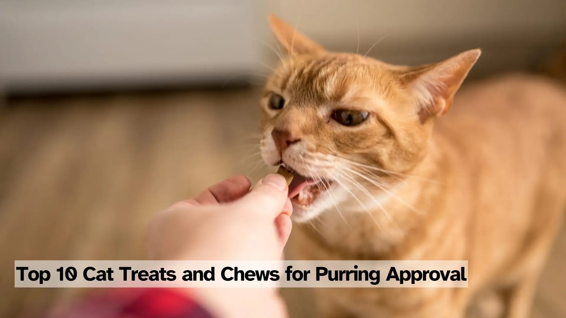 65e93a1fc31c97dc4e08b5e6