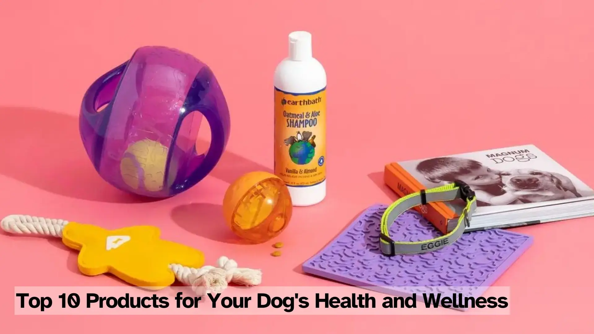 65e9412f6307dab0955ff6d7