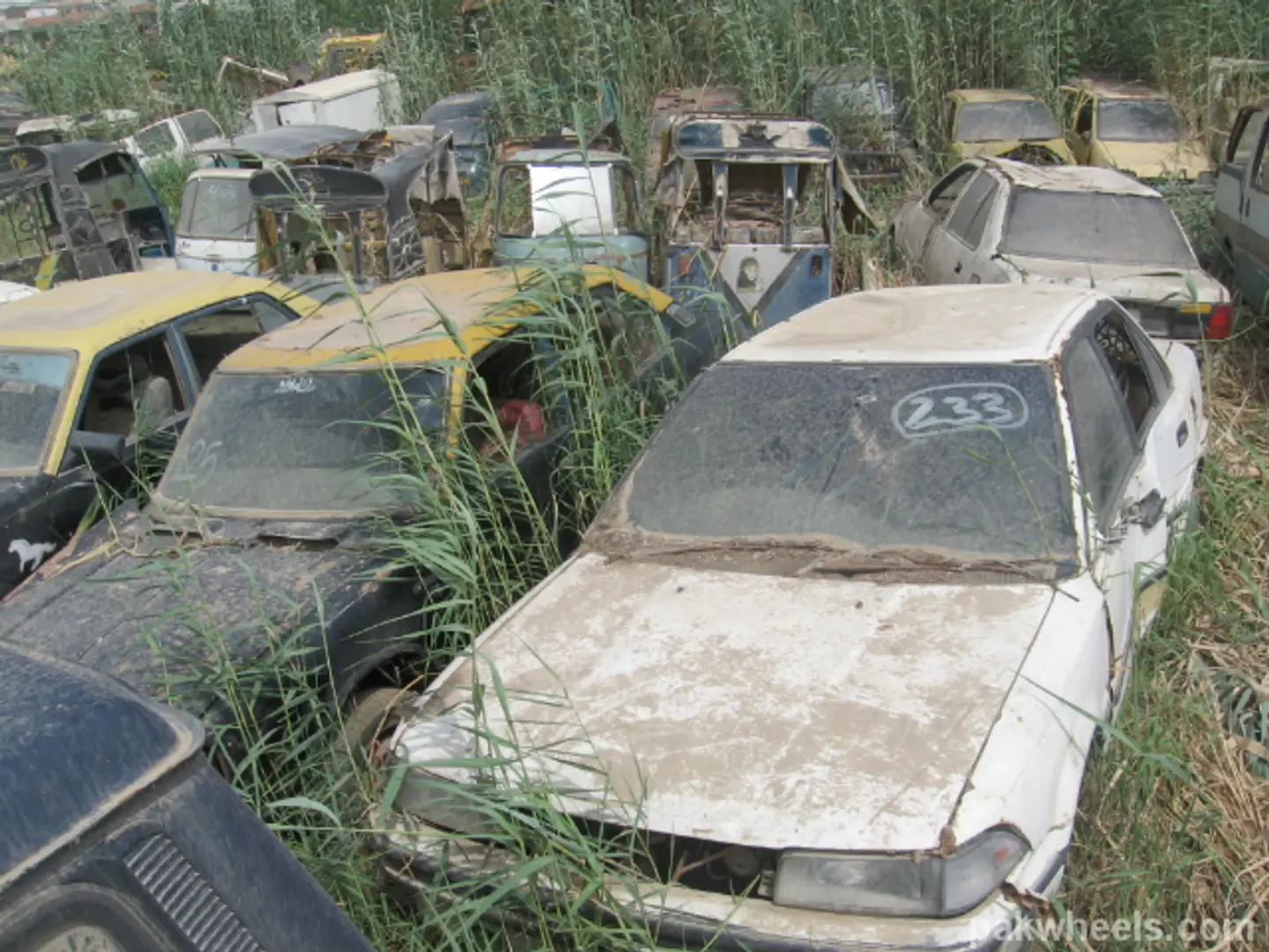 67720f2f68f3c32296fa9771