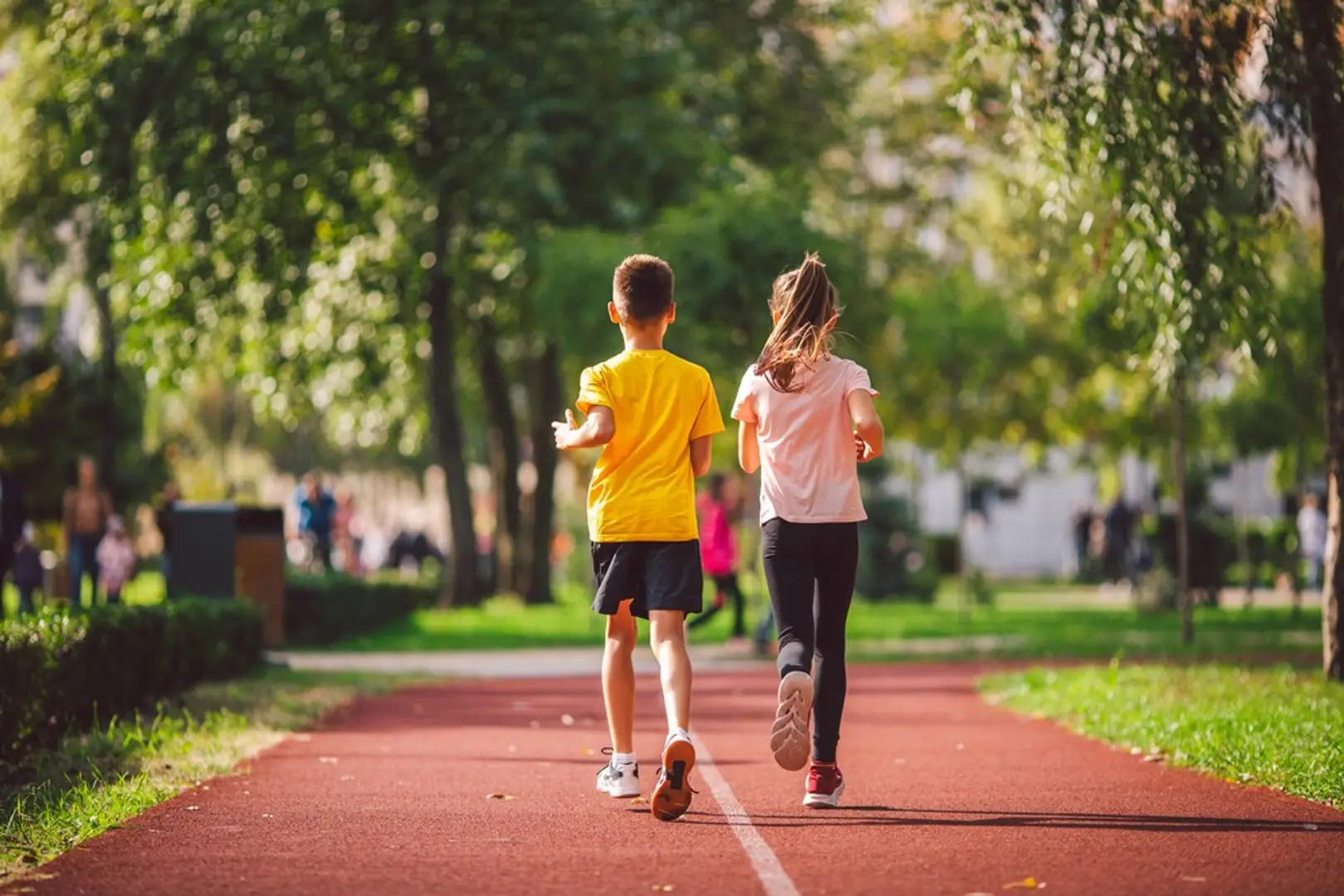 6835555016c0d9ad65793868