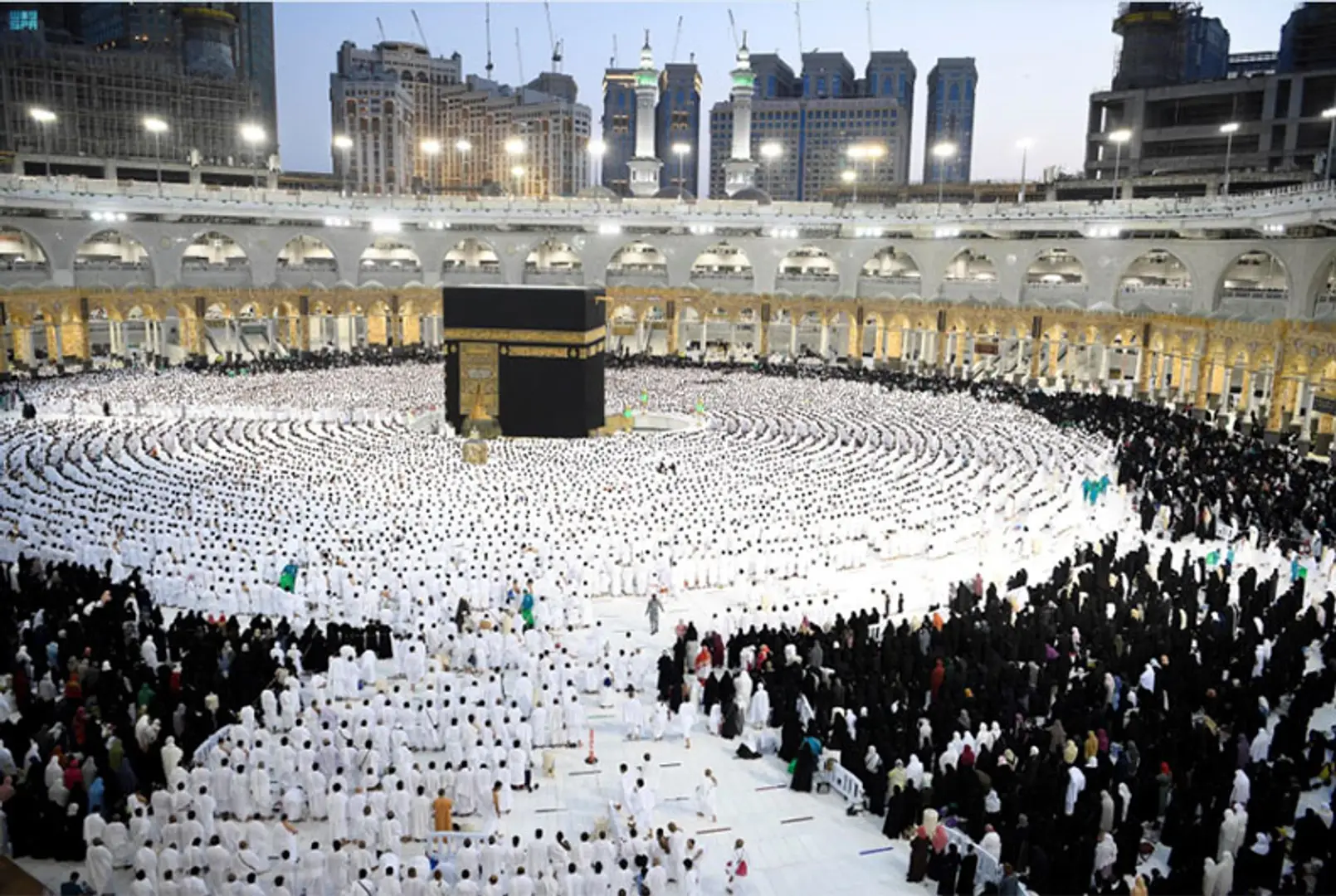 683adec416c0d9ad65bb1654