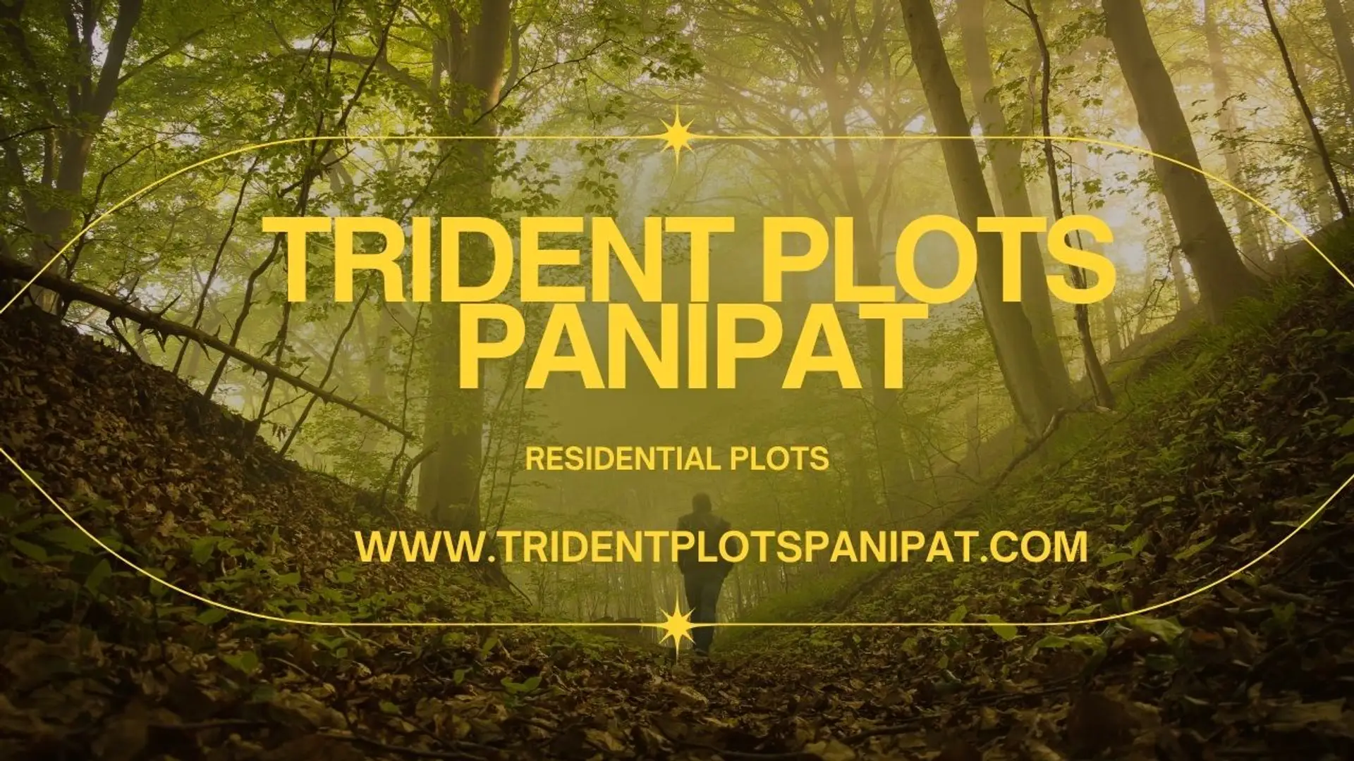 68511488b7dc2045f20ed621