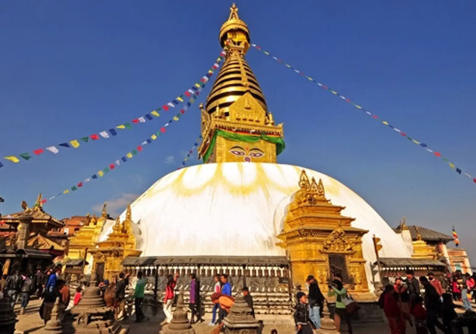 68590baa7254d71cfaf5a4d4