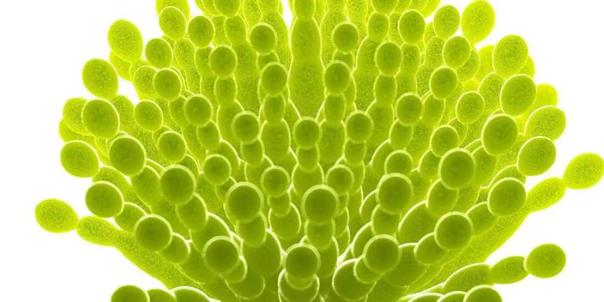 685cf6ebd15f7b40bf29bb68