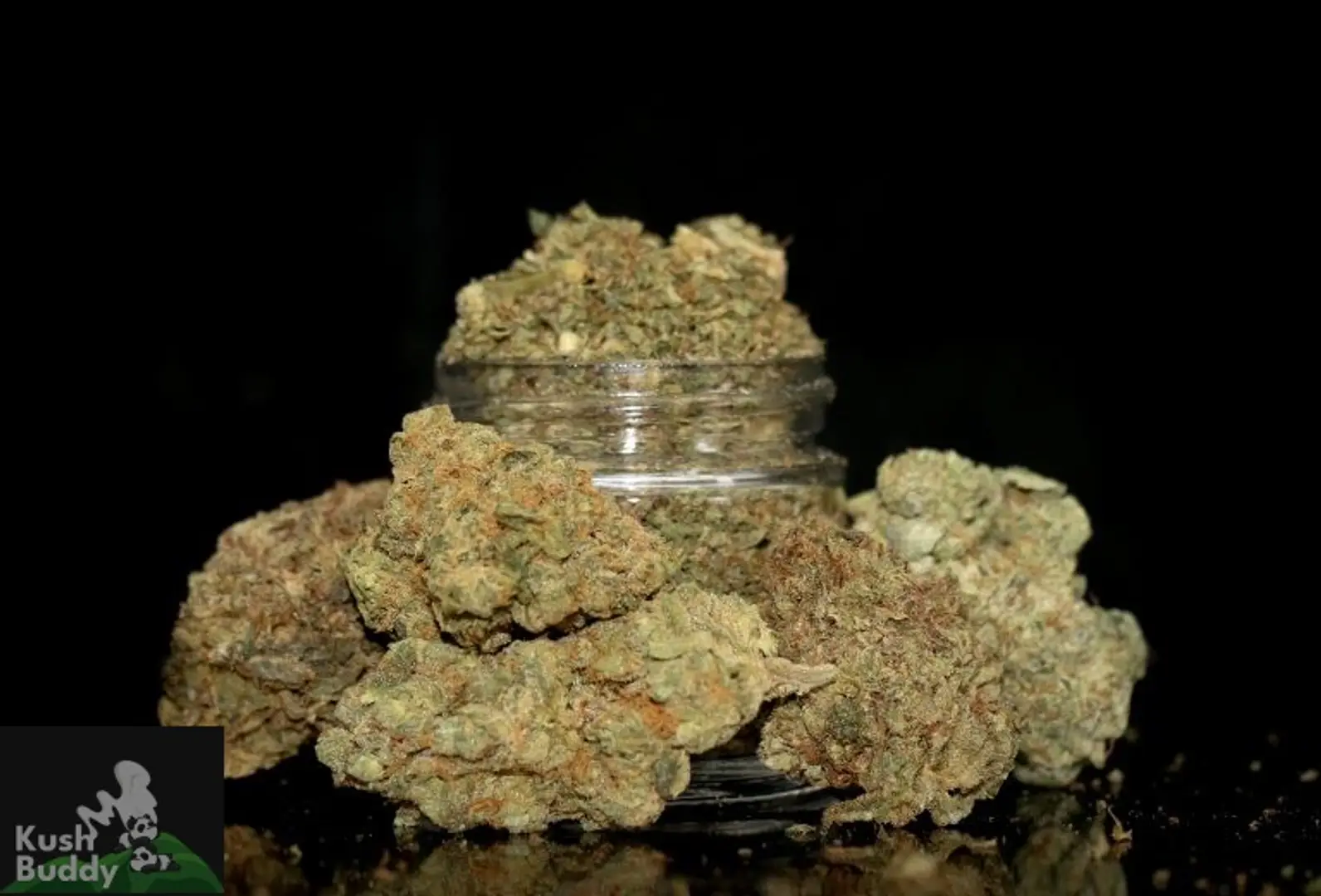 686285d0d15f7b40bf62a264