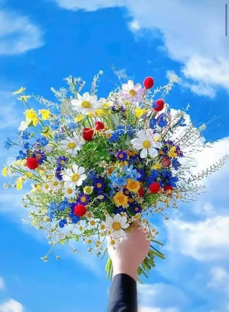 6864dbb3d15f7b40bf7cff7f