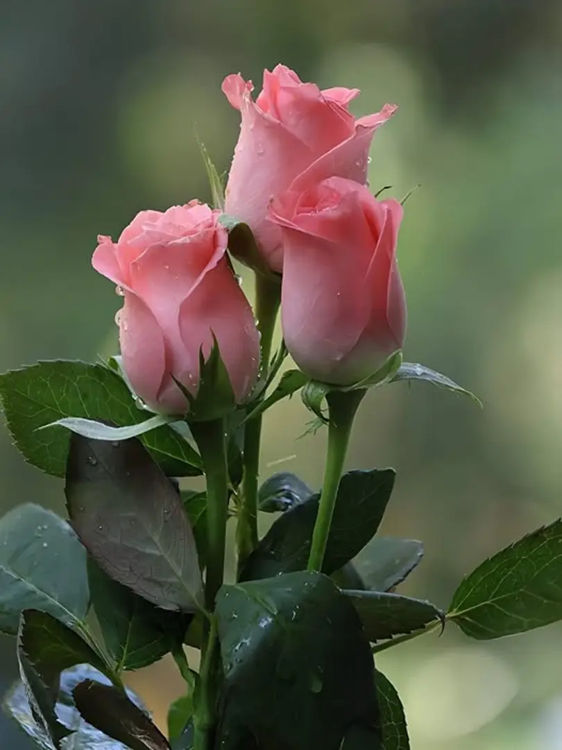 6864dc8a3420928fd44a9576