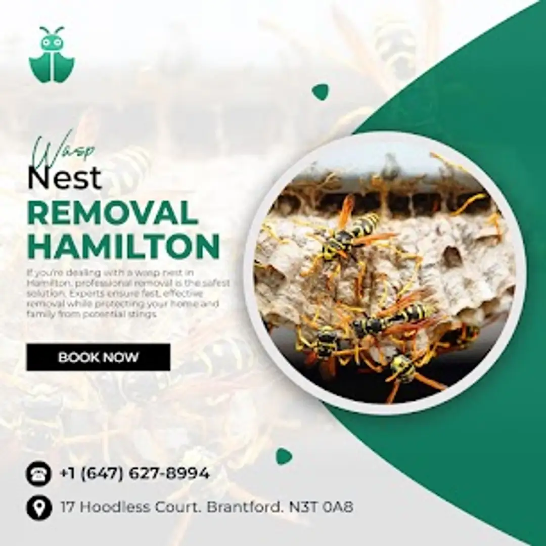 68650b7dd15f7b40bf7fdb77