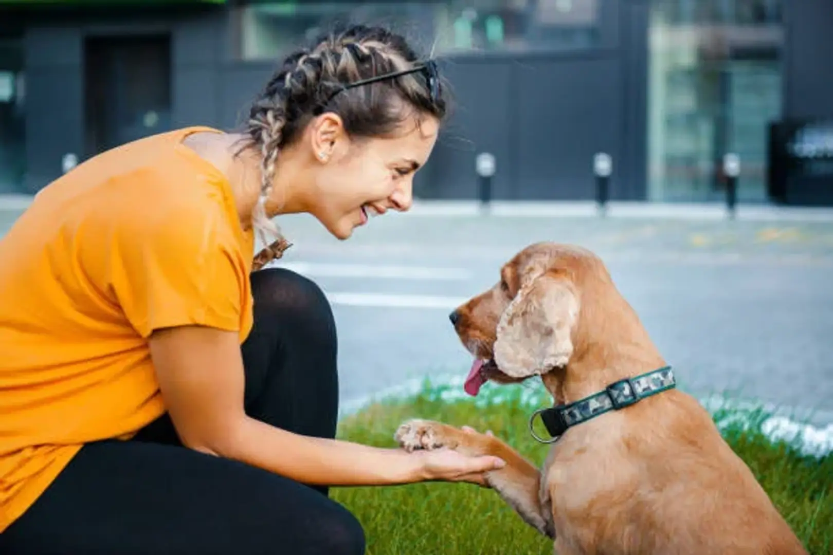 686cc850a06405299a685dbc