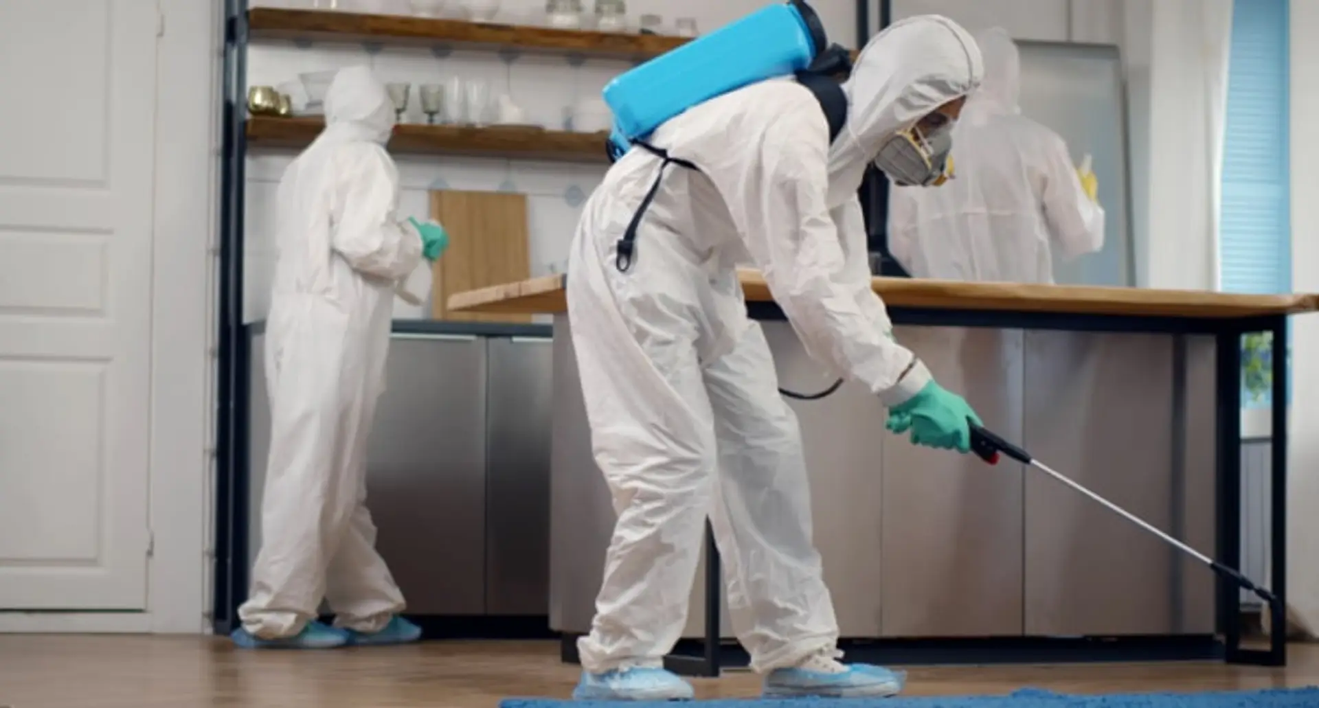 687495b0ae129f65d9633775