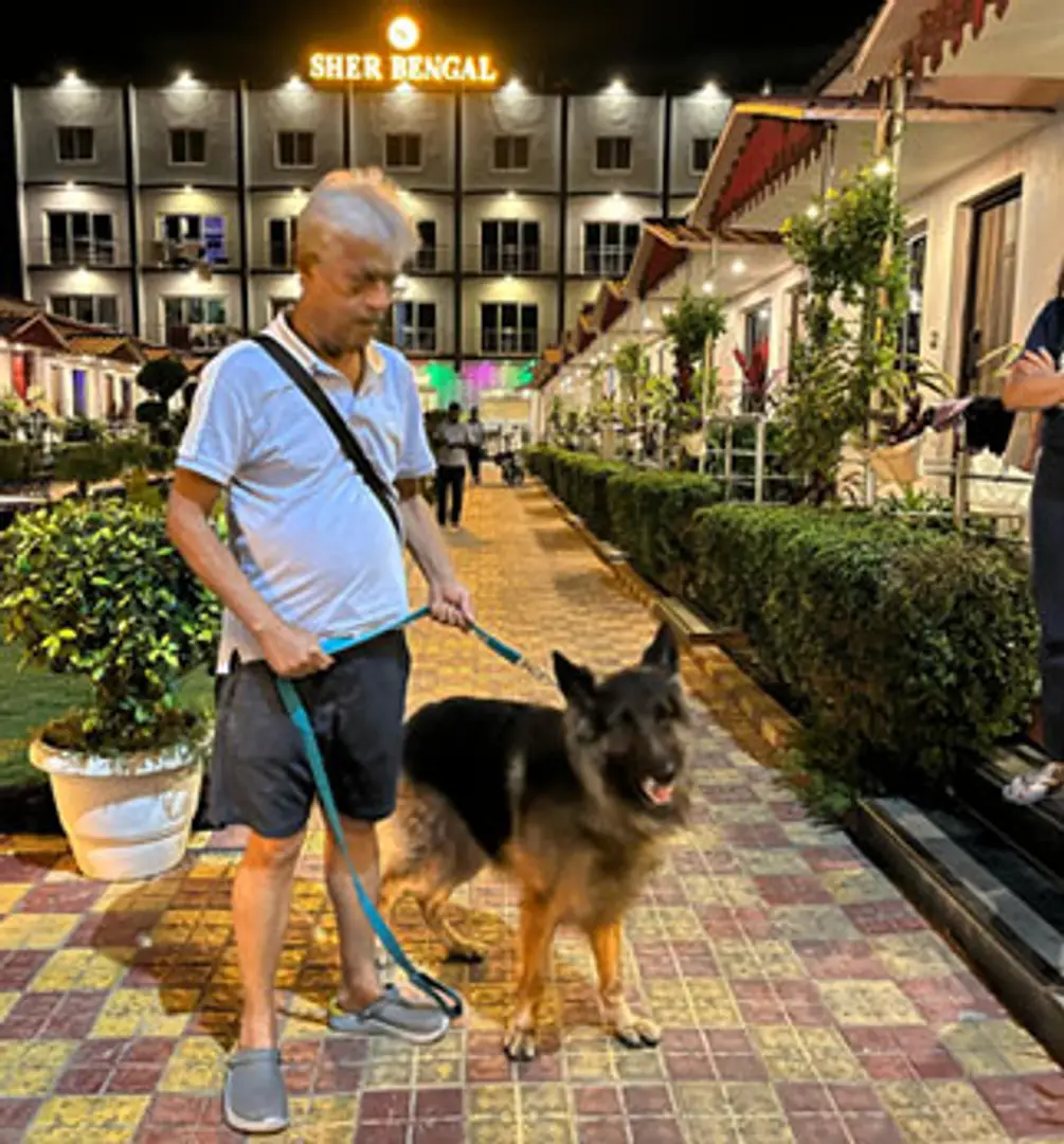 687a289b68ba5494ce829a74