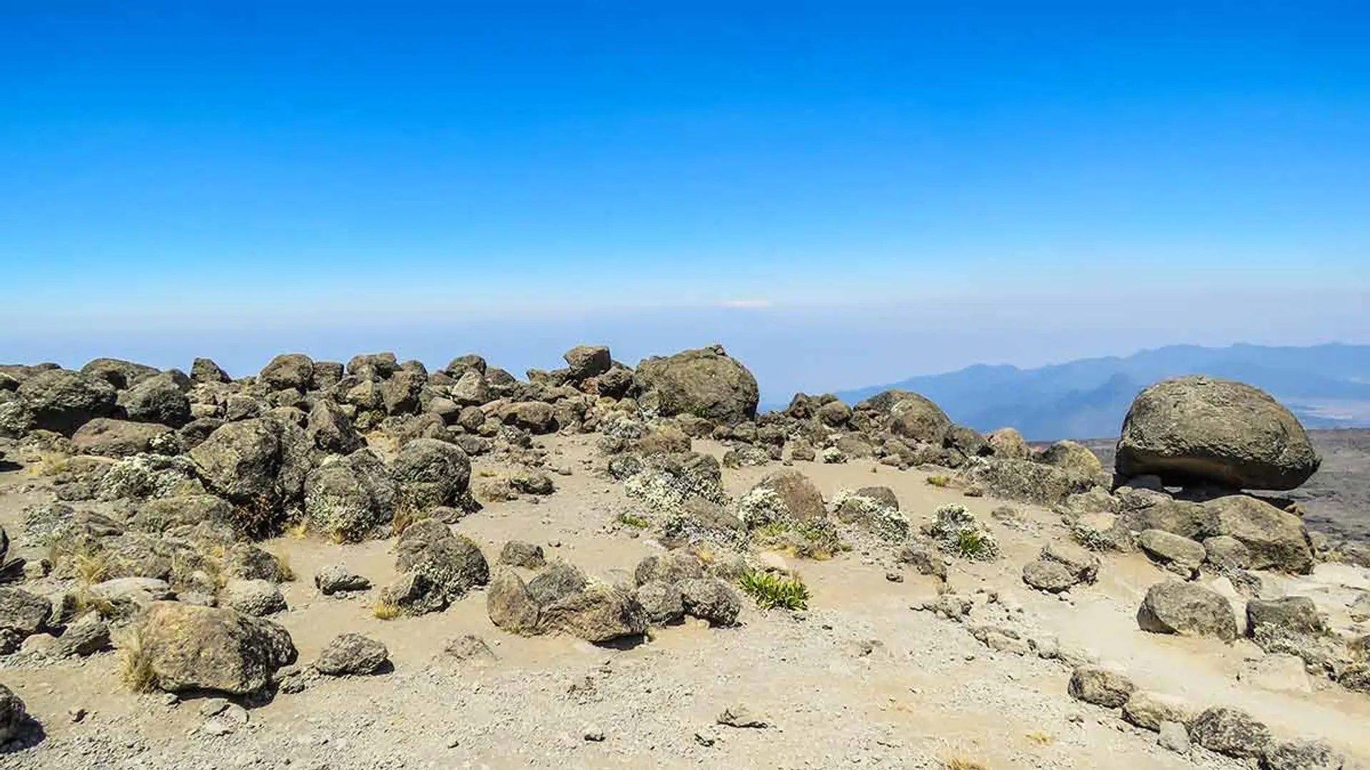 68ba9651e635a2ea7a8cbc6e