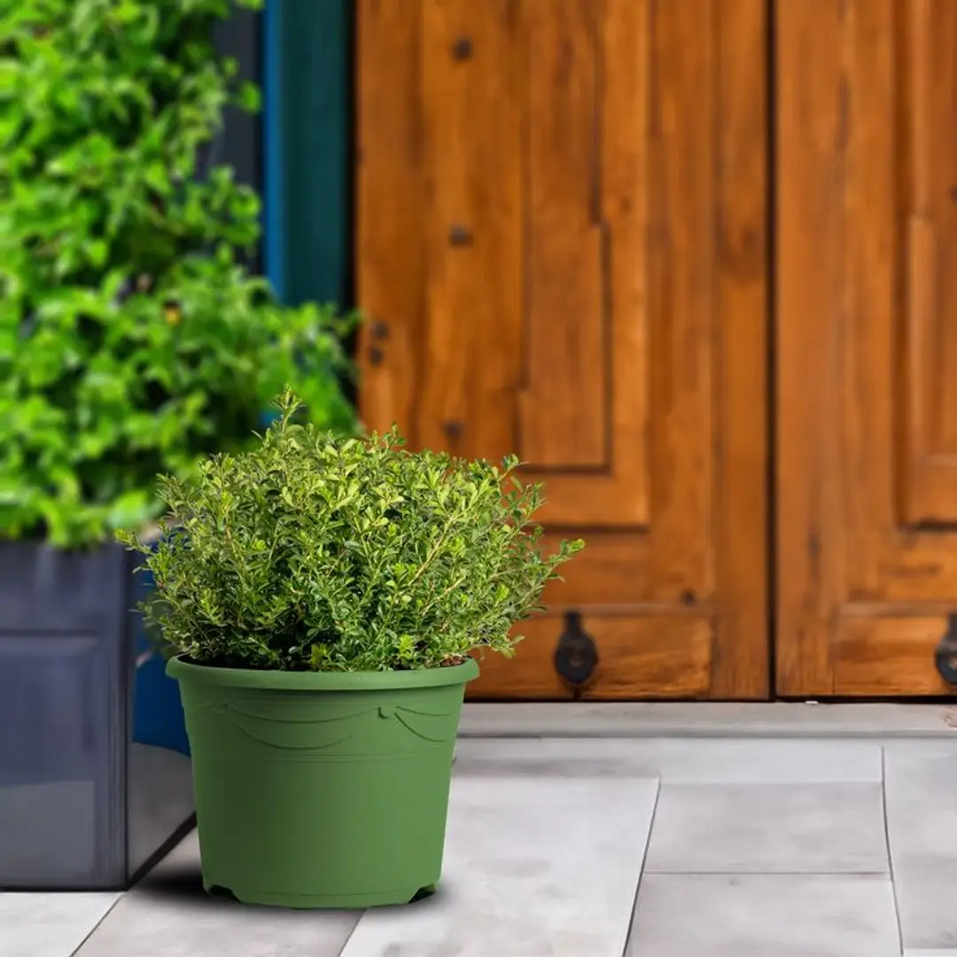 68c5de8aafdf13ddf7692c30