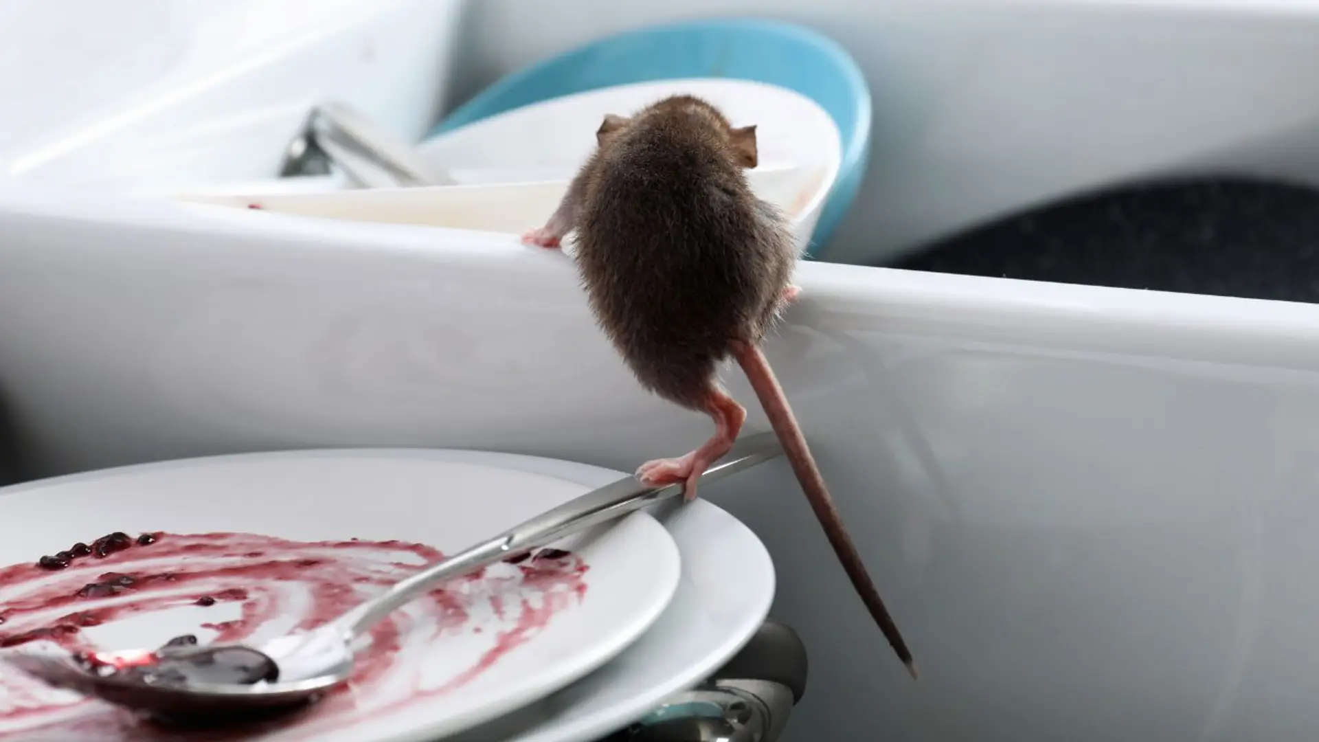 68c76af618f14608b344a0cf