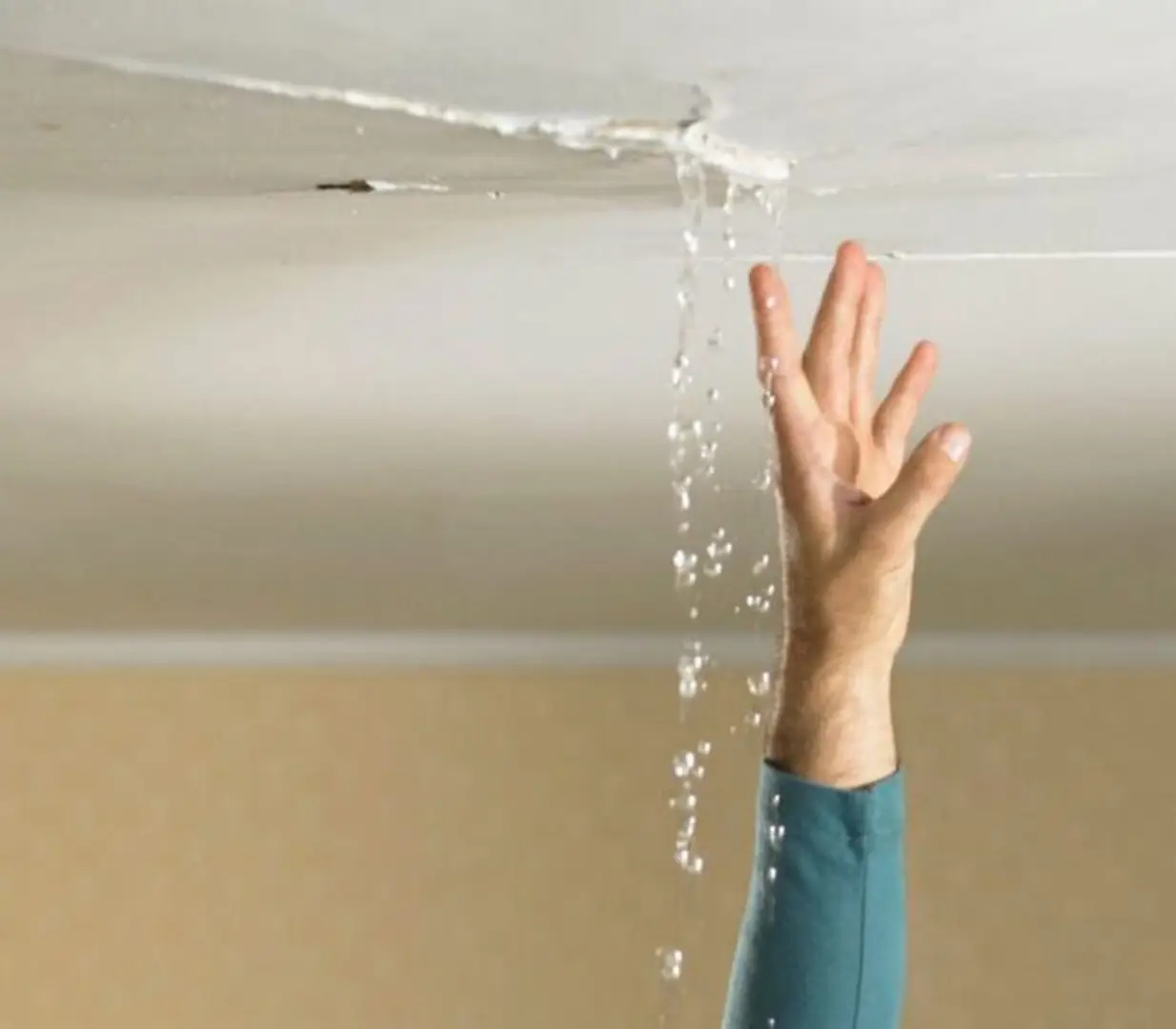 68cbb27e8876ec49c916809f