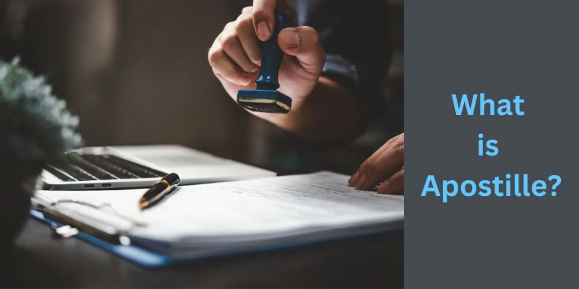 68edecc764abc941e59b9e0b