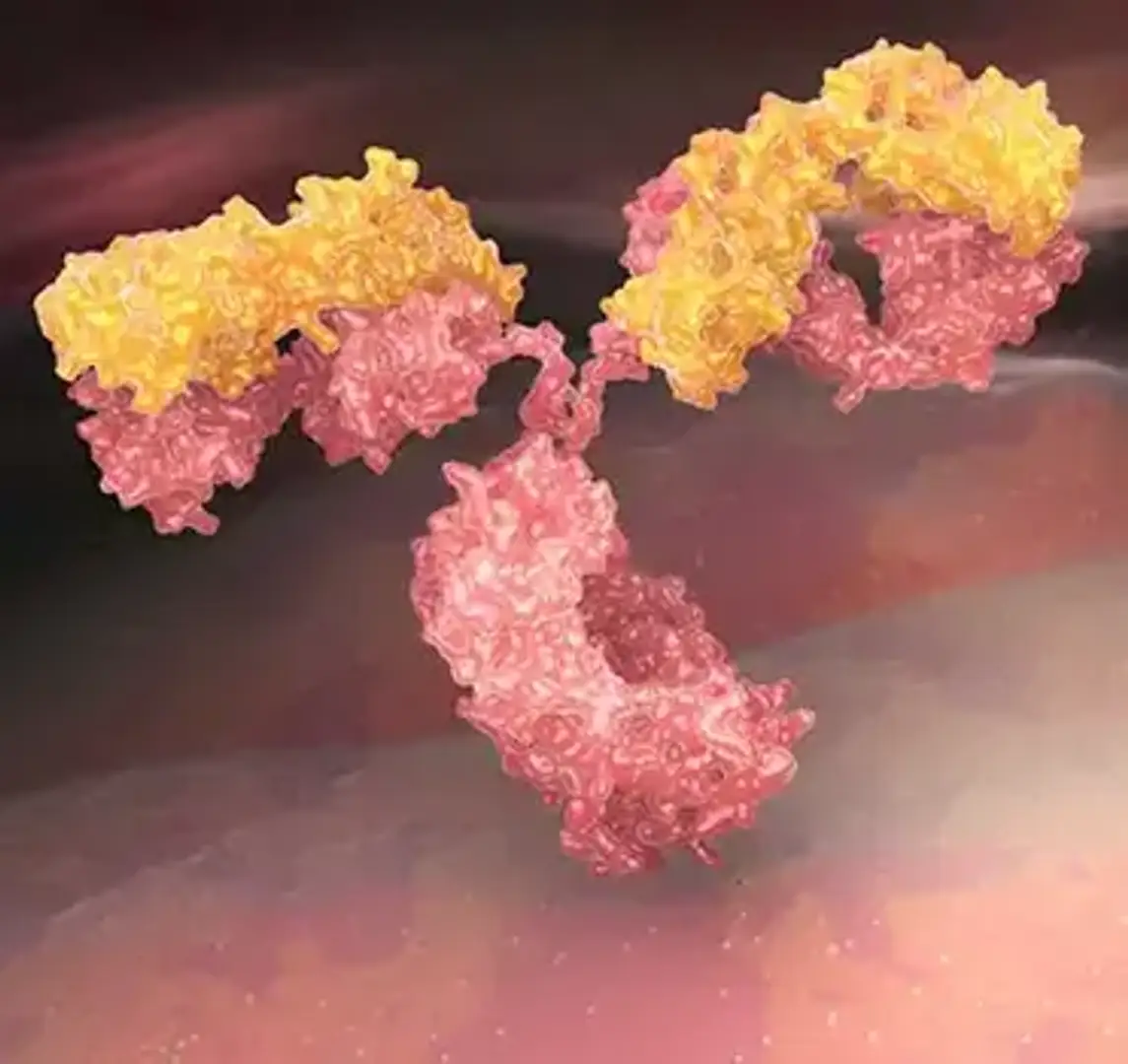 690c509f71b27a68cf08d44b