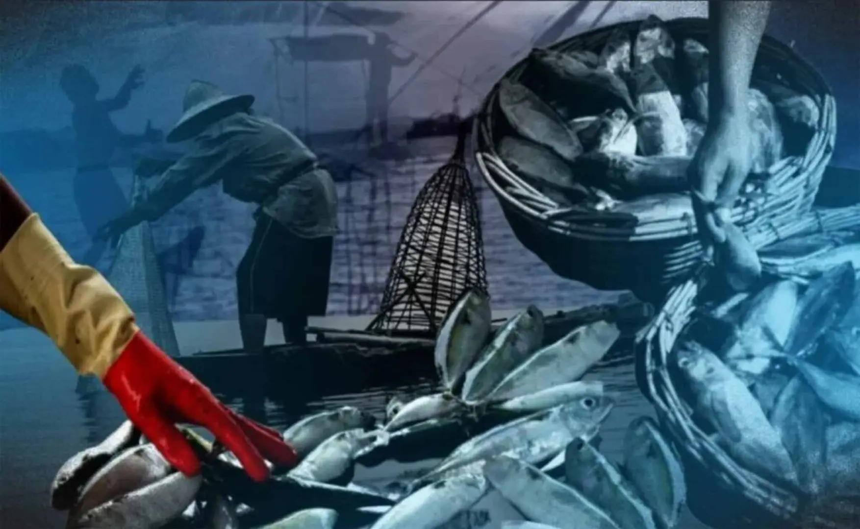 692443b271b27a68cfe6558a