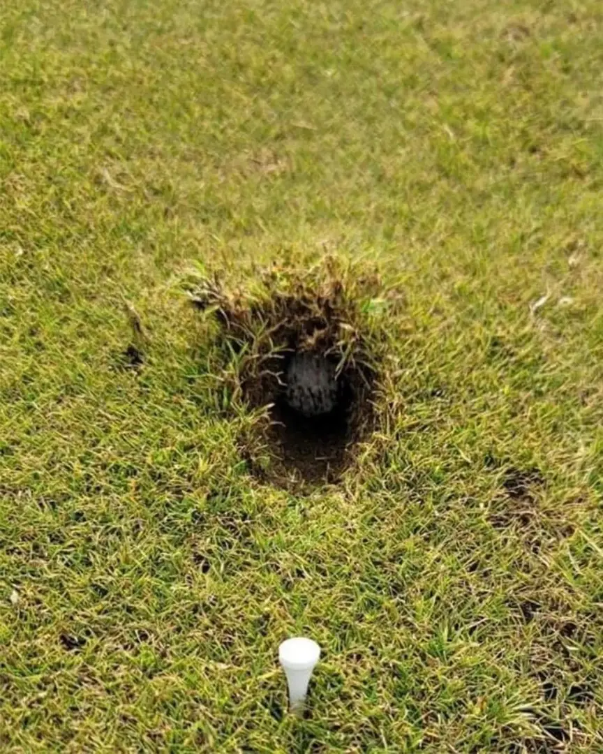 6976db77dddaa203ae77d432